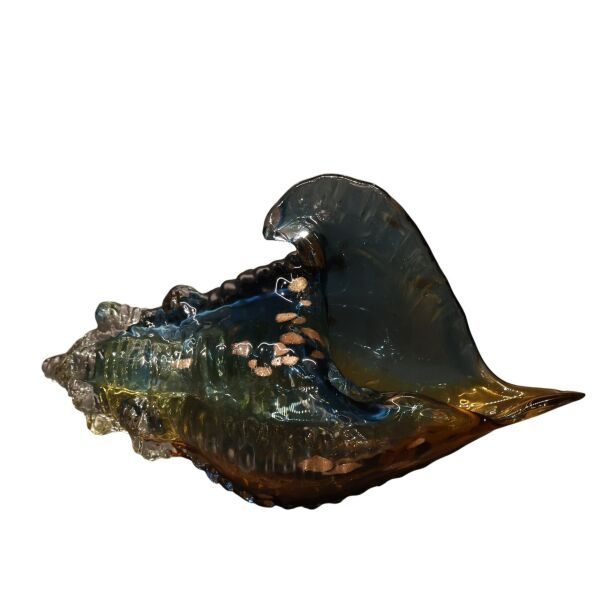 Mavi Sarı Deniz Kabuğu Büyük Mavi-Sarı