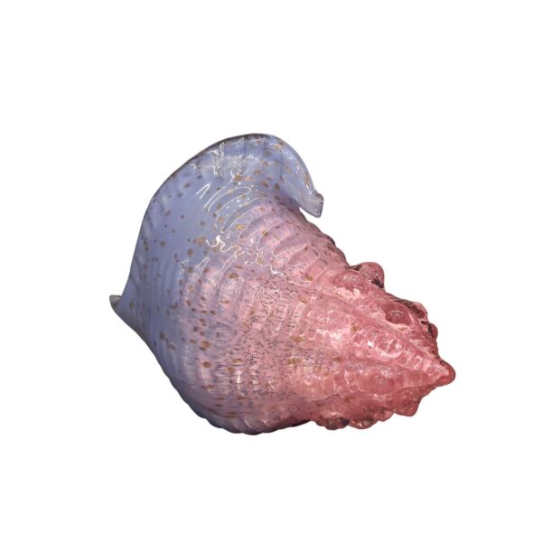 Mavi Sarı Deniz Kabuğu Büyük Pembe-Mor