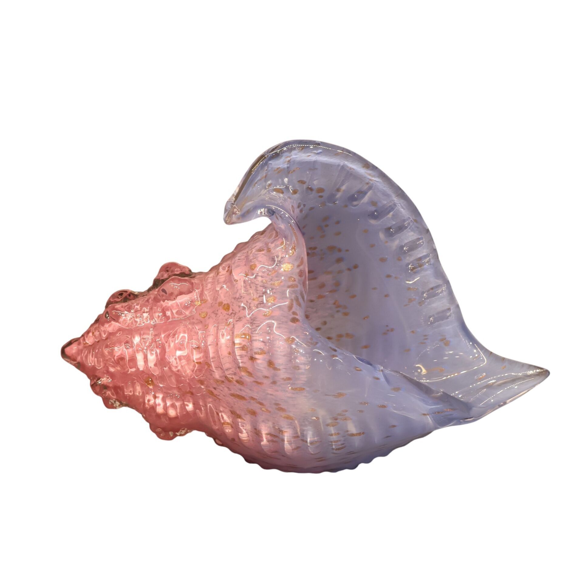 Mavi Sarı Deniz Kabuğu Büyük Pembe-Mor