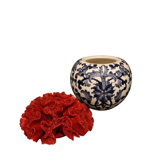 Kırmızı Mercan Kapak Blue Blanc Kaktüs Saksı