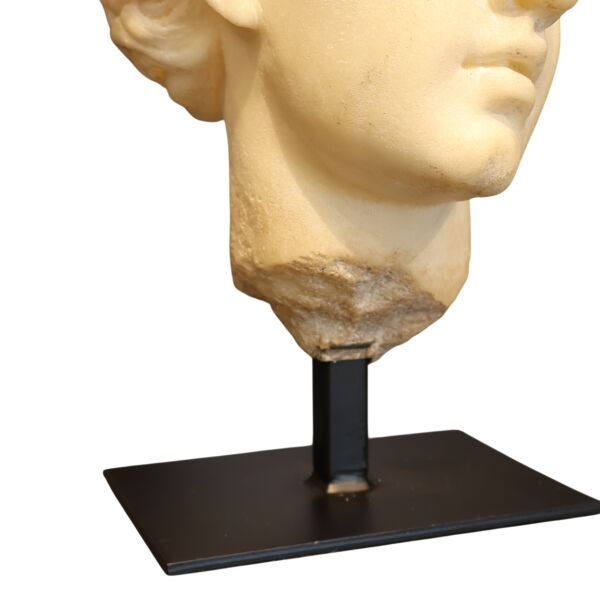 Aphrodite Büst