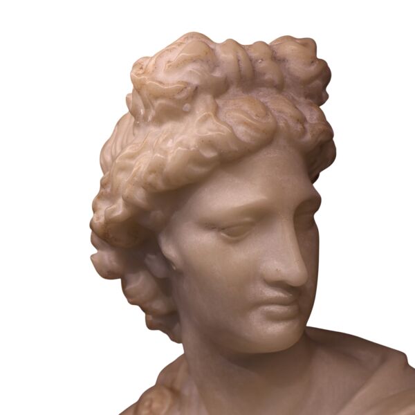 Apollo Büst