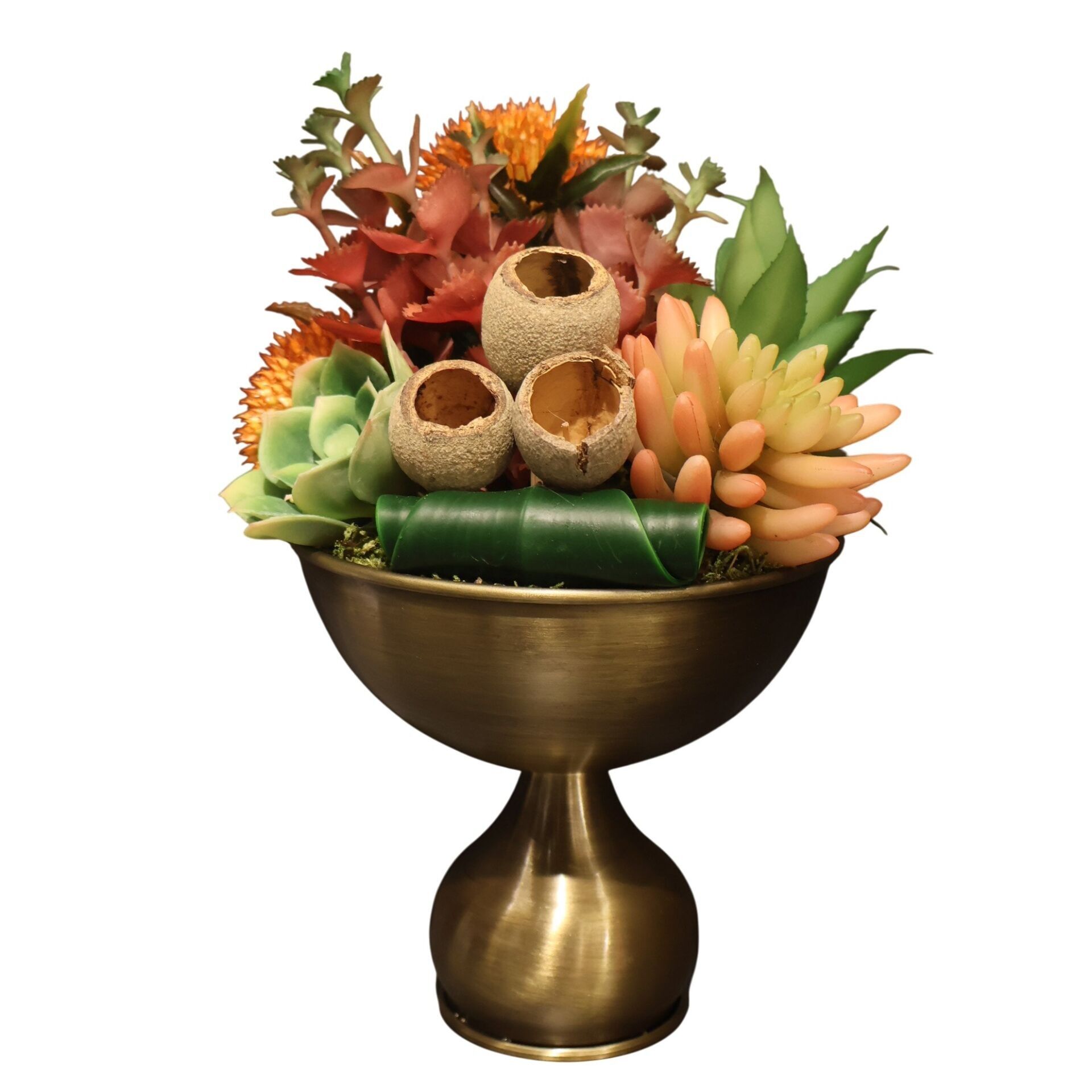 Ayaklı Eskitme Sukulent