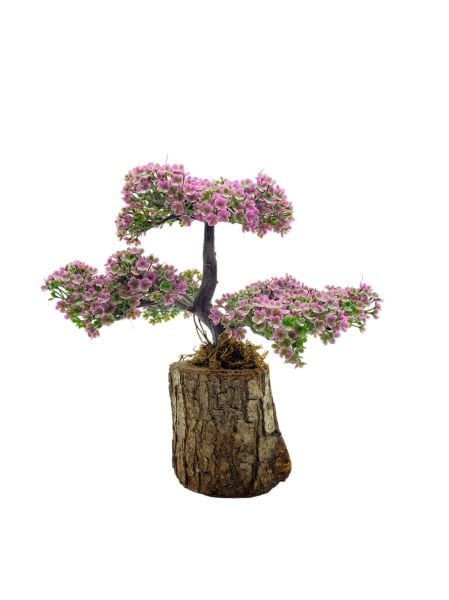 Dekoratif Bonsai Ağacı Obje