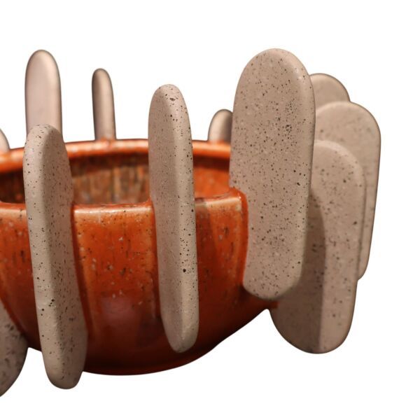 Vitale Turuncu Işın Meyvelik