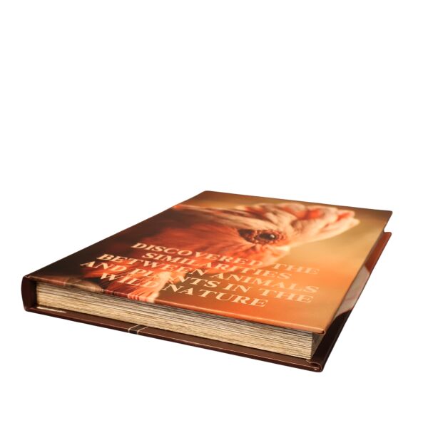 Wild Nature Kitap Kutu