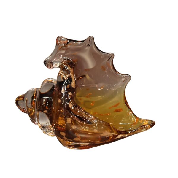Amber Mor Deniz Kabuğu Küçük Amber-Mor