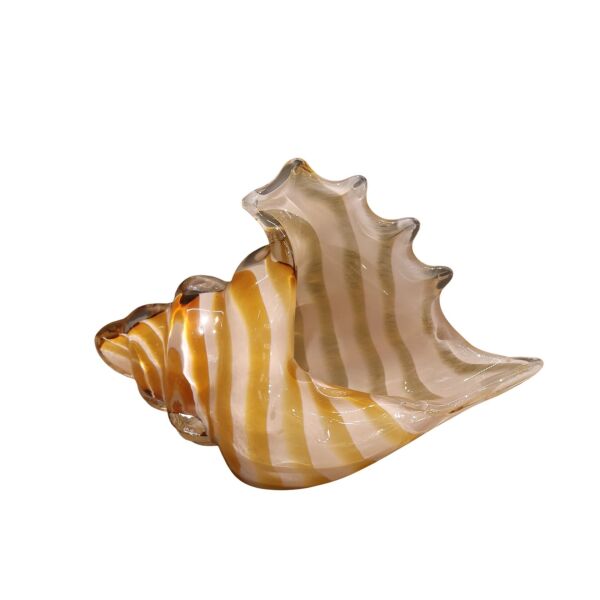 Amber Mor Deniz Kabuğu Küçük Amber-Pembe