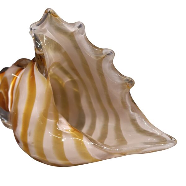 Amber Mor Deniz Kabuğu Küçük Amber-Pembe