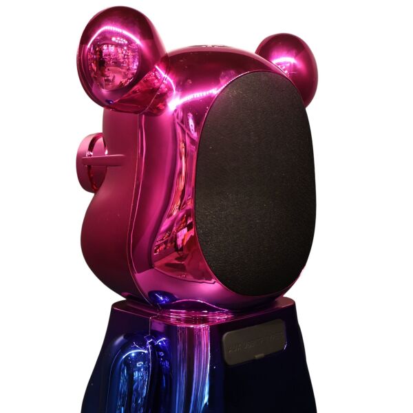 Pembe Kamuflaj Kaws Speaker Gold