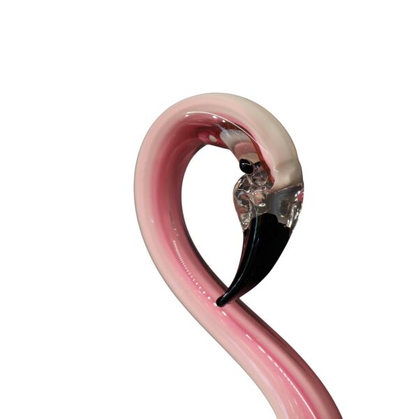 Cam Flamingo