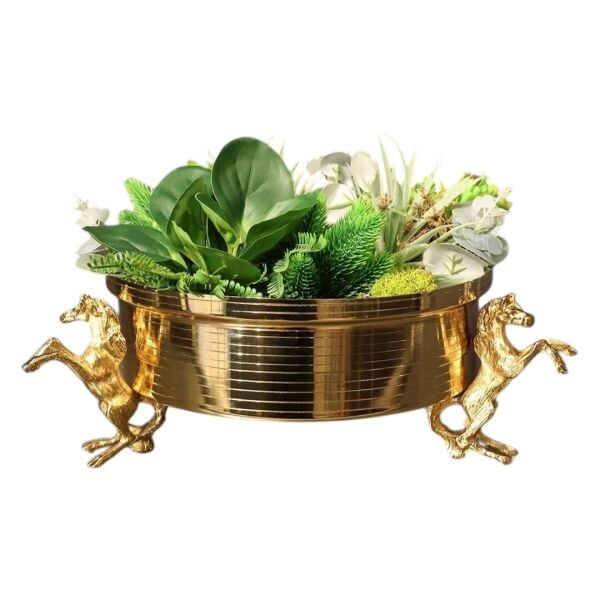 Atlı Saksı Gold