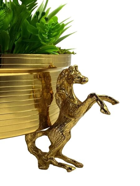 Atlı Saksı Gold