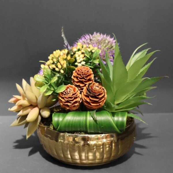 Kare Desen Saksı Gümüş Sukulent