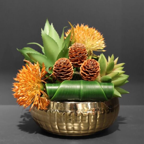 Kare Desen Saksı Gold Sukulent