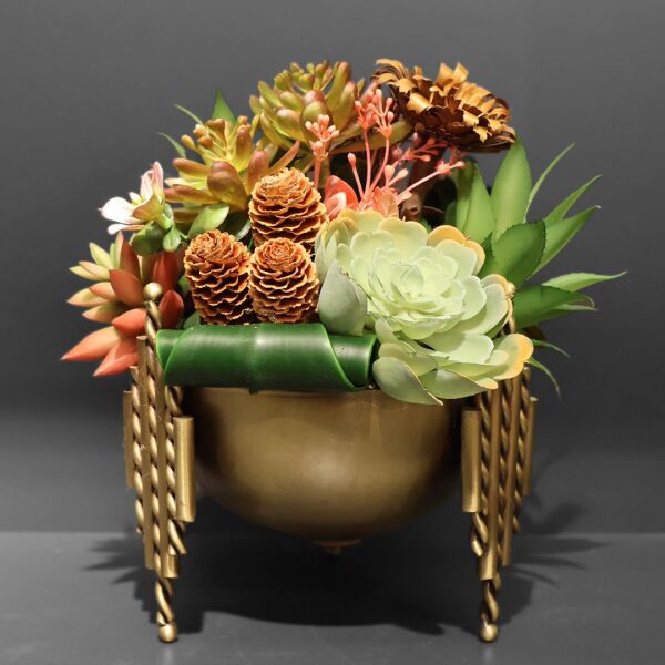 Çubuk Model sukulent