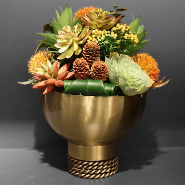 Burgu Taban Sukulent Eskitme Büyük