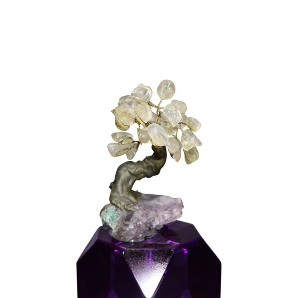 Kristalli Ağaç Dekor Mor Beyaz