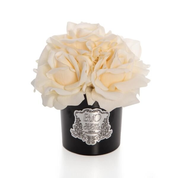 Siyah Cam Sılver 5 Gül Krem Luxury Home Perfume