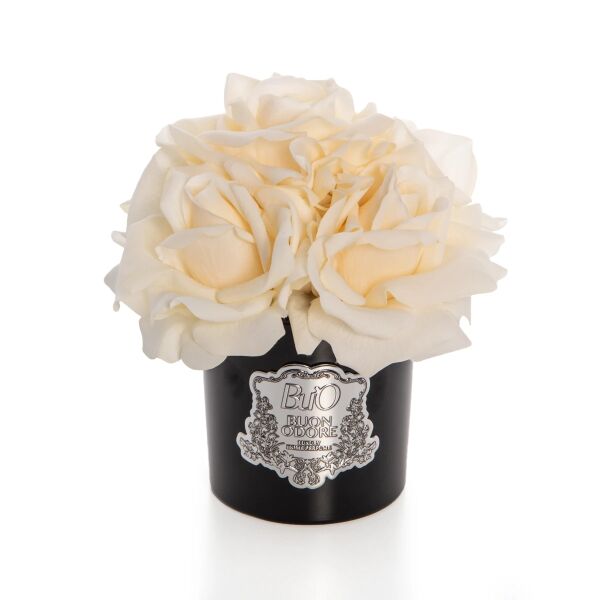 Siyah Cam Sılver 5 Gül Krem Luxury Home Perfume