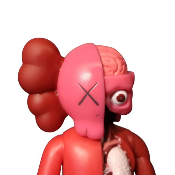 Yarım Açık Kaws Pembe