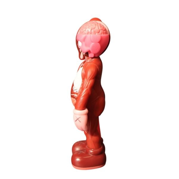 Yarım Açık Kaws Pembe