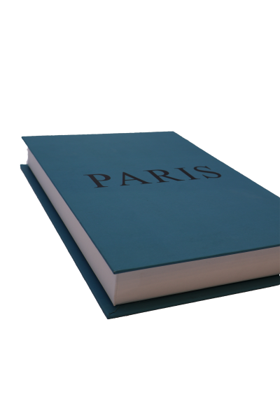 Paris Turkuaz Dekoratif Kitap