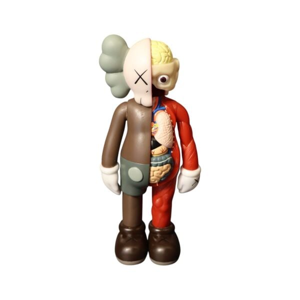 Yarım Açık Kaws Kahve