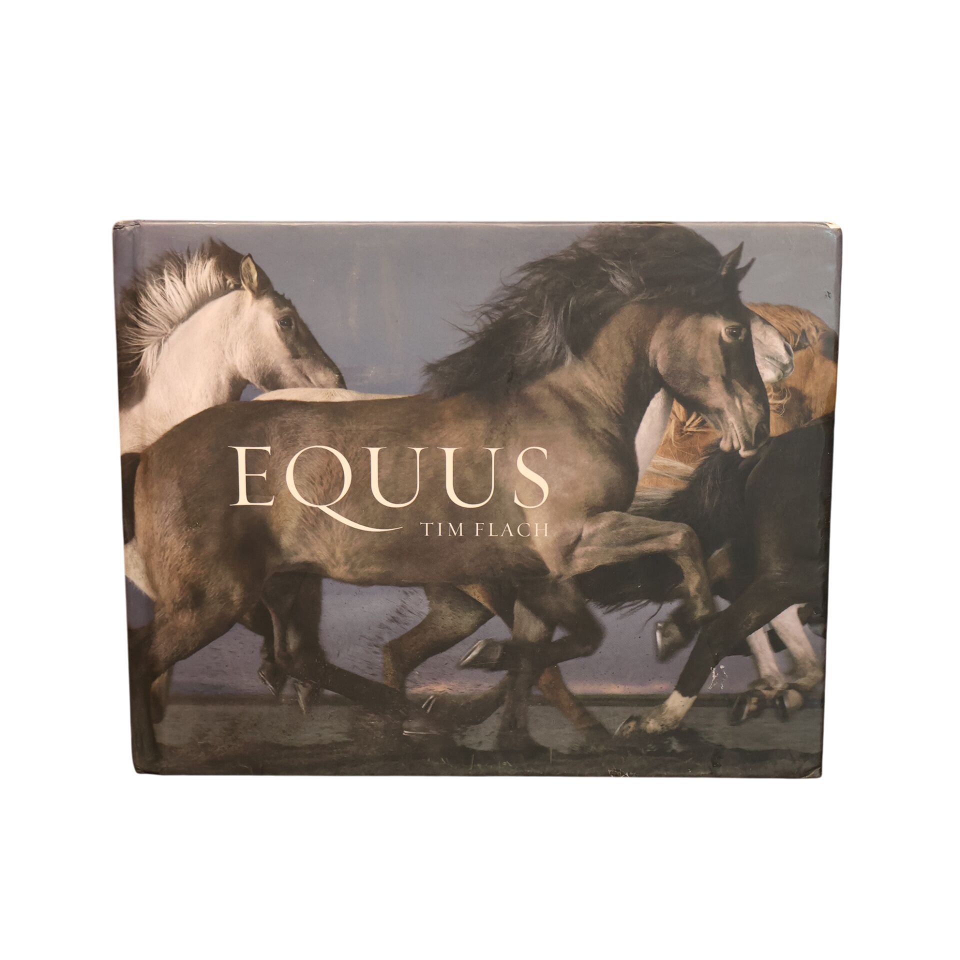 Equus Tım Flach