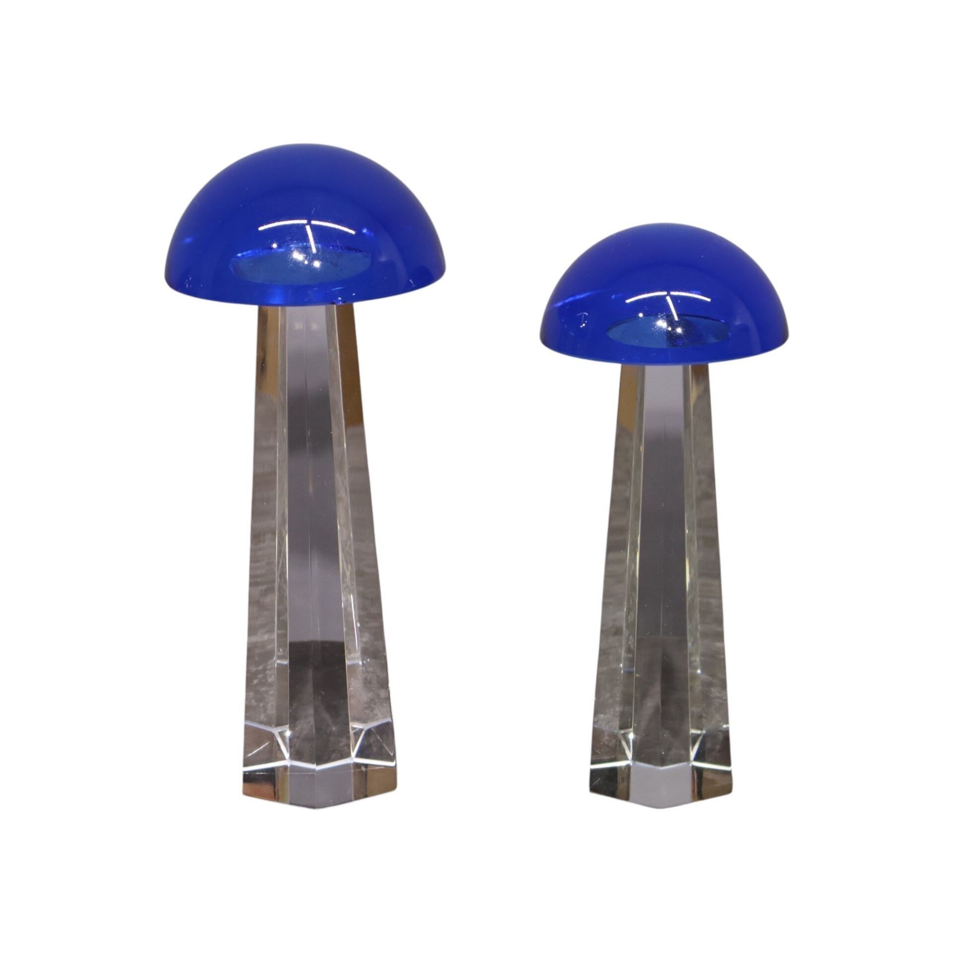 İkili Cam Mantar Mavi Mavi