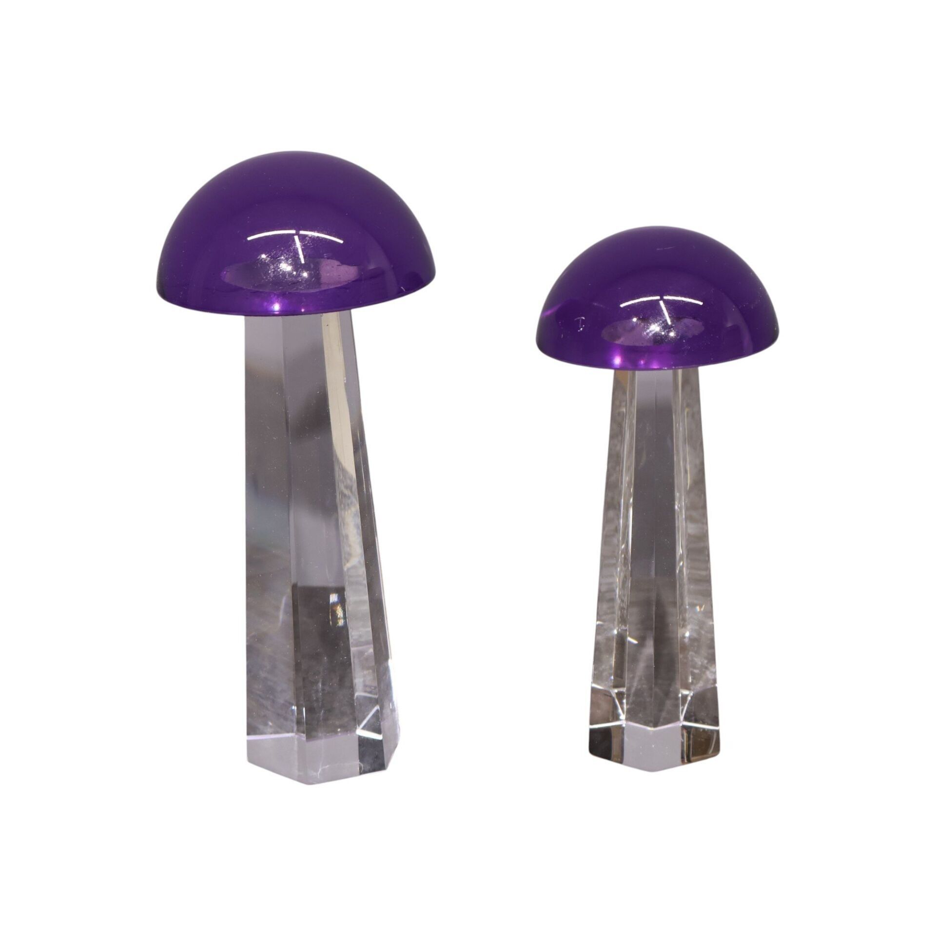 İkili Cam Mantar Mavi Mor