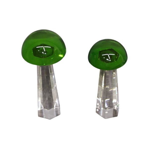 İkili Cam Mantar Mavi Yeşil