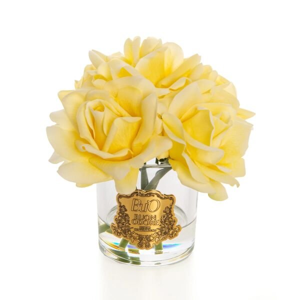 Cam Gold 5 Gül Mercan Luxury Home Perfume Sarı