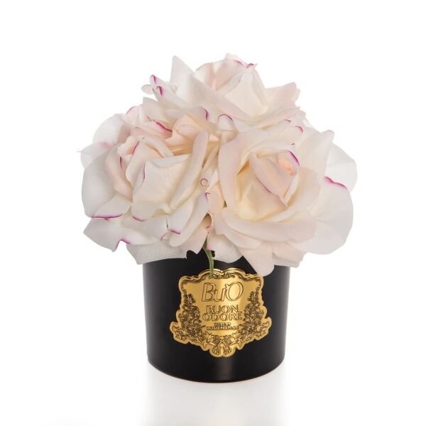 Siyah Cam Gold 5 Gül Mercan Luxury Home Perfume Allıklı