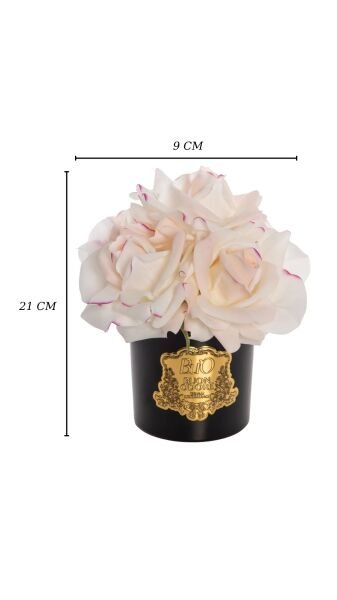 Siyah Cam Gold 5 Gül Mercan Luxury Home Perfume Allıklı