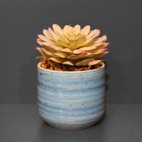 Sukulent Saksı Mavi 13Cm