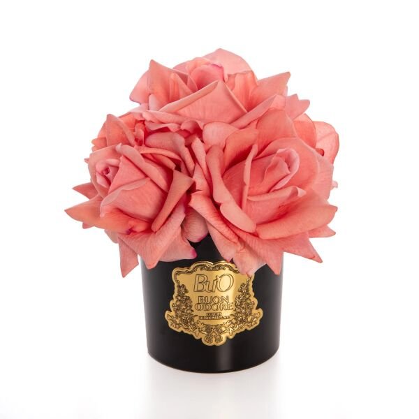 Siyah Cam Gold 5 Gül Mercan Luxury Home Perfume Mercan