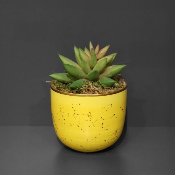 Sukulent Saksı Sarı 13Cm