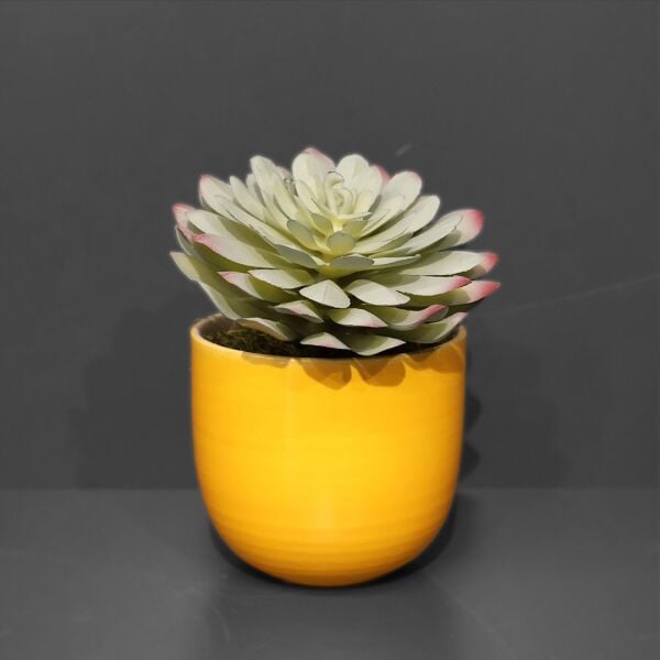Sukulent Saksı Turuncu 13Cm