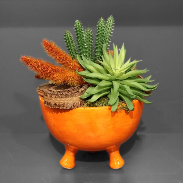 Sukulent Kase Turuncu