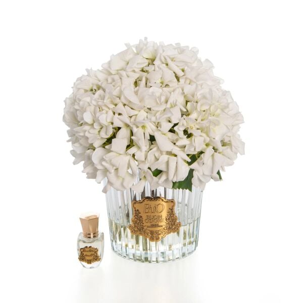 Gold Beyaz Ortanca Luxury Home Perfume