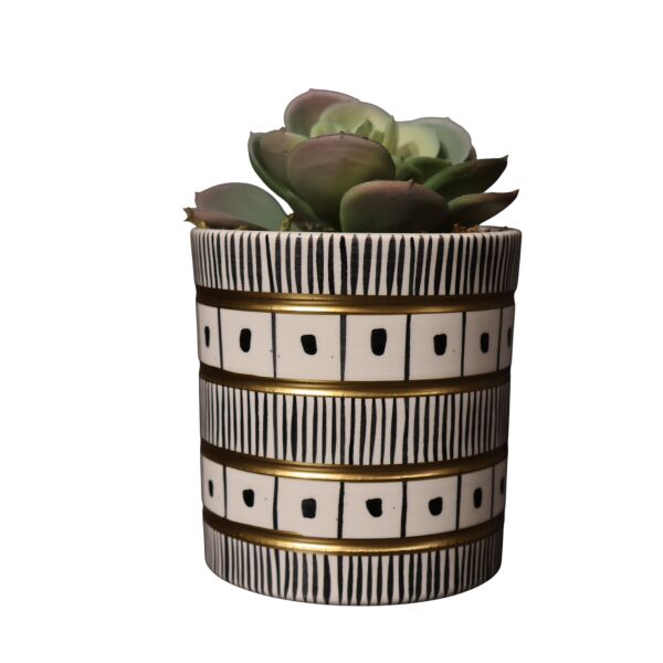 Siyah beyaz silindir Sukulent