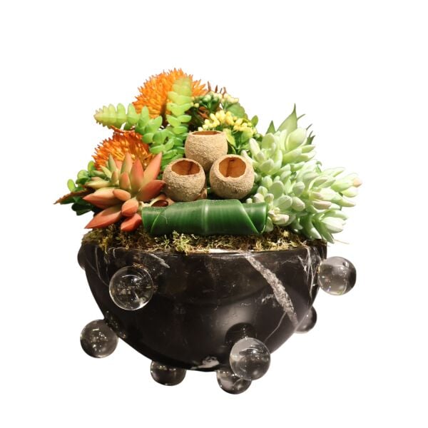 Siyah Mermer Kase Sukulent