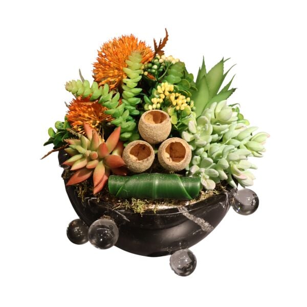 Siyah Mermer Kase Sukulent