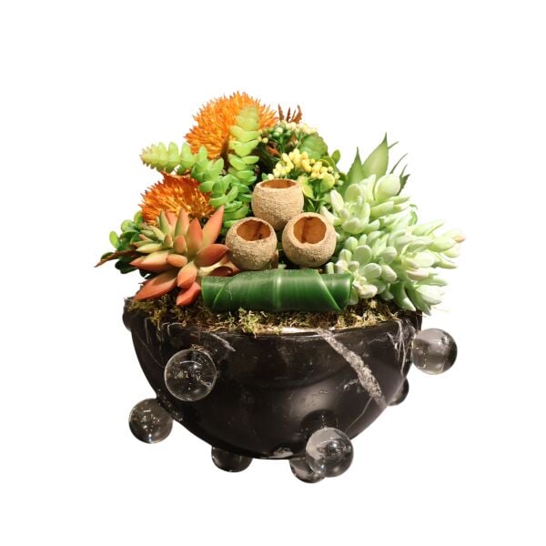 Siyah Mermer Kase Sukulent