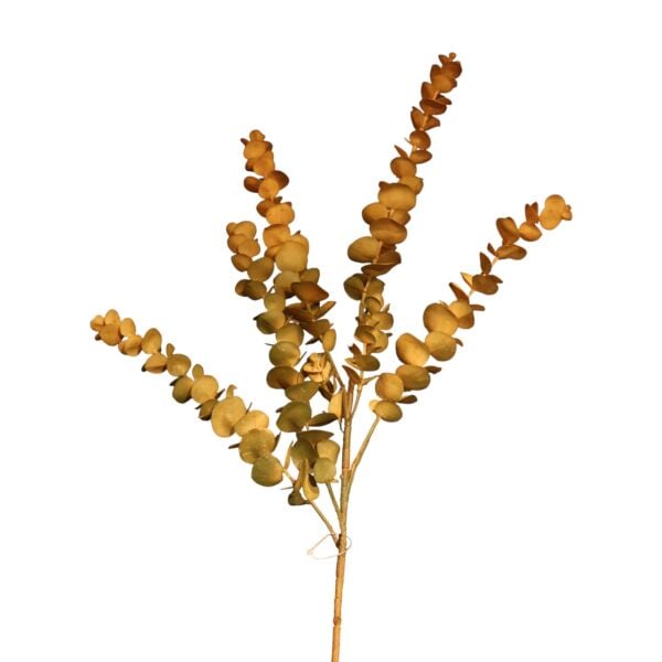 Okaliptus