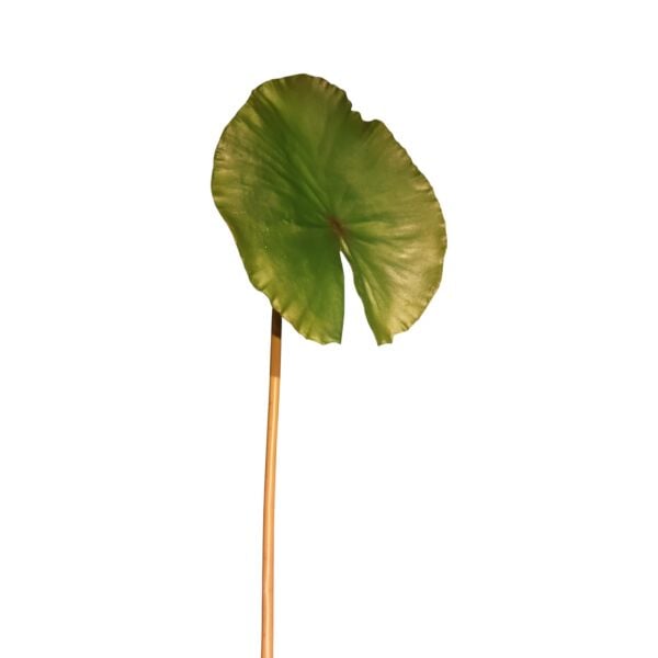 Lotus Yaprağı