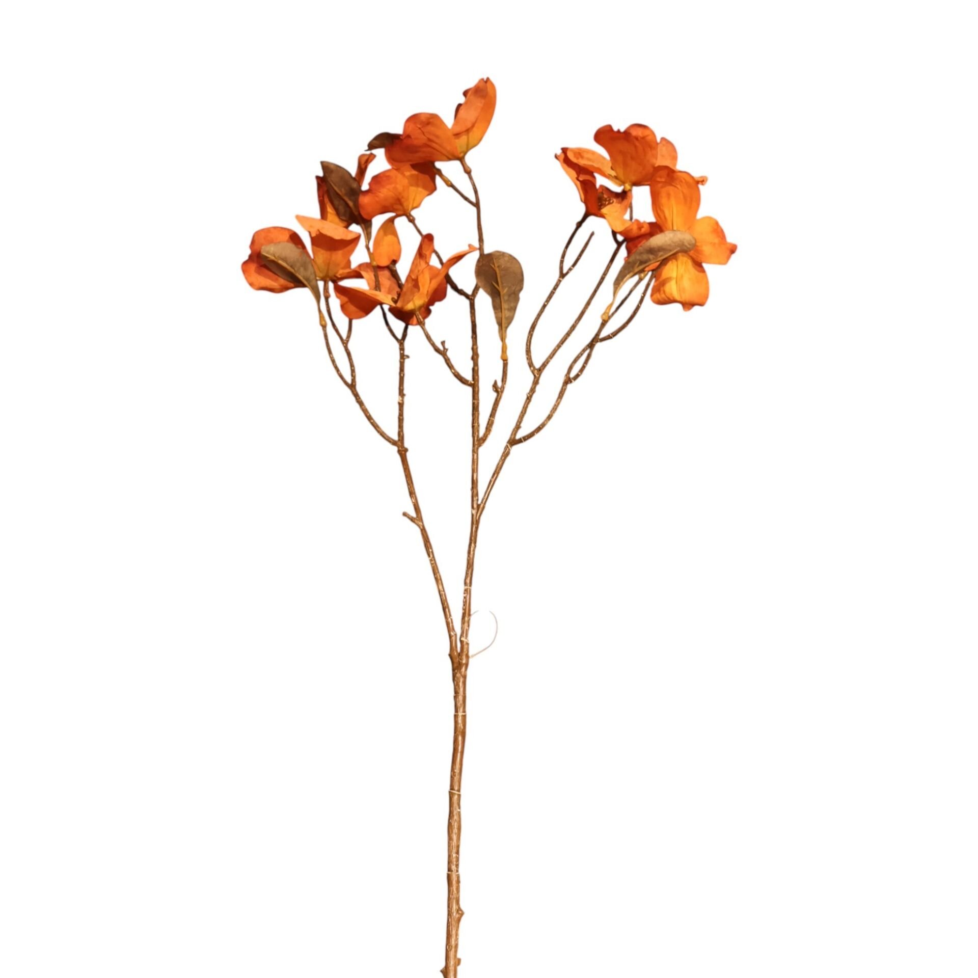 Somon Kızılcık Dalı