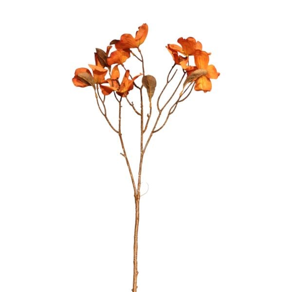 Somon Kızılcık Dalı