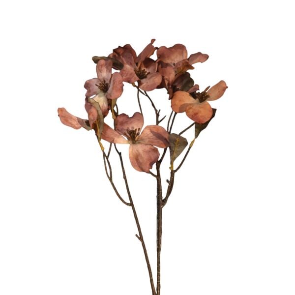 Kırmızı Kızılcık Dalı